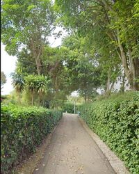 Duchess Avenue (D10), Detached #496788701
